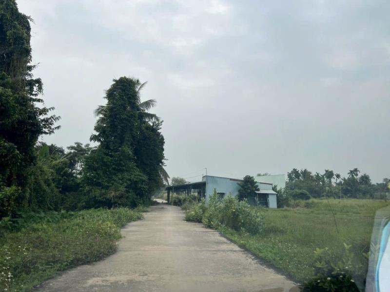 Bán đất thổ cư hẻm oto huỳnh thị dần, xã bình mỹ dt 85m2 ( 81m2 thổ) giá 1,53 tỷ - Ảnh 2