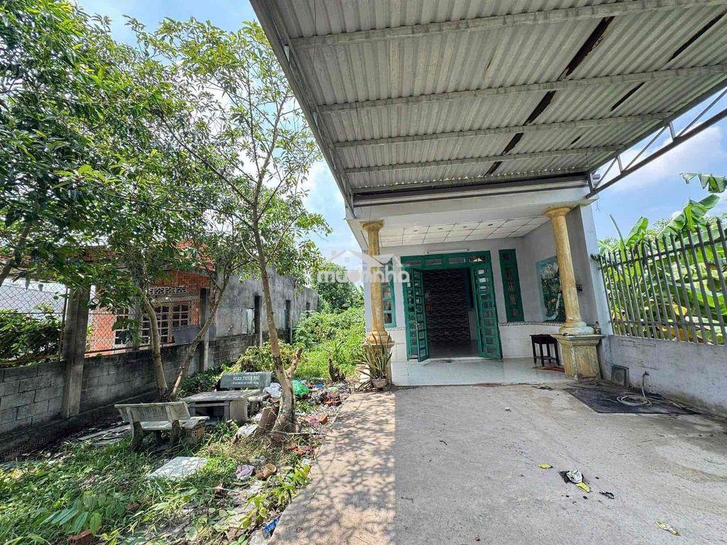 Bán nhà cấp 4 200m2 có vườn nhỏ ở cây trôm mỹ khánh phước hiệp củ chi - Ảnh 2