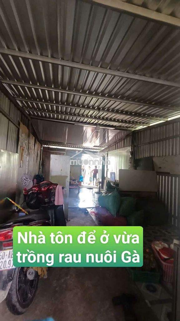 Nhà vườn trái  cây 8*25 có nhà tôn  đường kênh trung ương vĩnh lộc b