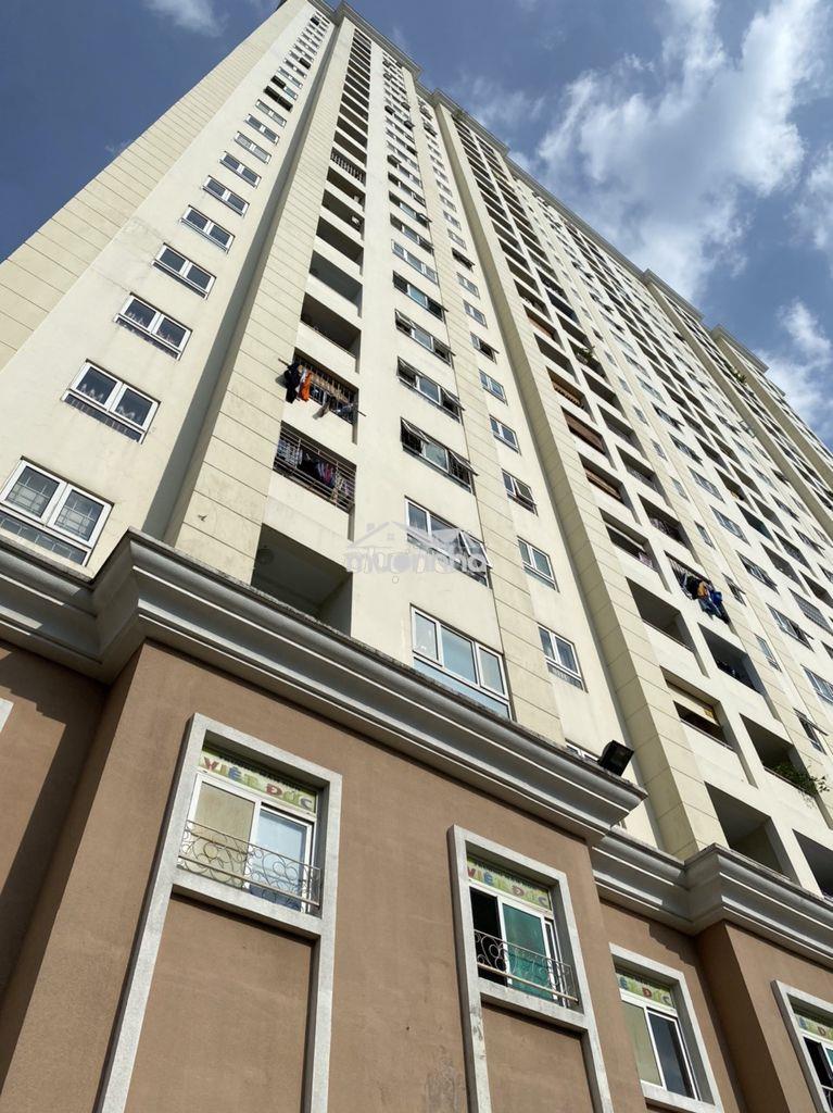 Cần cho thuê căn hộ tân phước plaza, quận 11 - Ảnh 2
