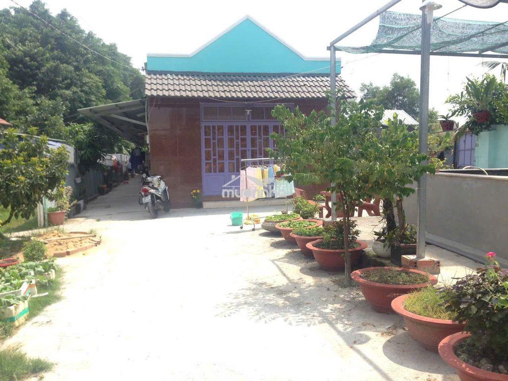 Nhà sân vườn  97m gân chợ hiệp binh - Ảnh 3
