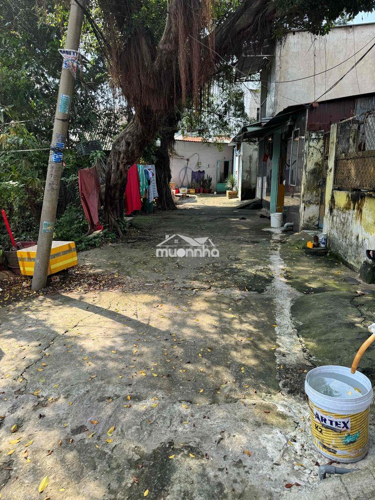 Cần bán gấp nhà cấp 4 hẻm xe hơi phường hiệp thành rất nhiều tiện ích - Ảnh 2