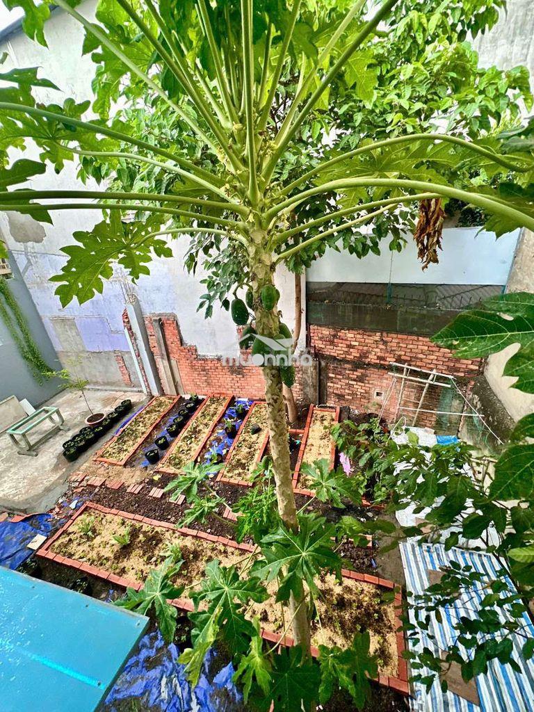 Nhà nguyên căn có sân vườn trồng rau nuôi gà - bình thạnh - tổng 160m²