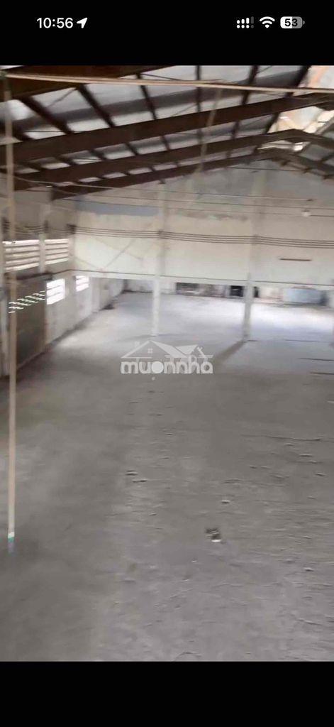 Xưởng 1.100m2 2mt hẻm xe container hương lộ 2 - Ảnh 4