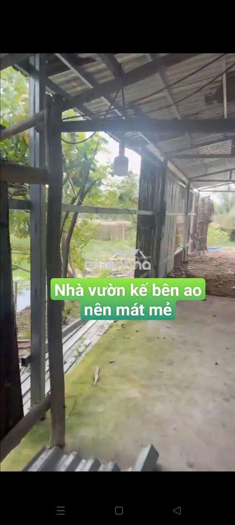 Nhà vườn  400m nhà + điện 3 pha  đường kênh trung ương  vĩnh lộc bv - Ảnh 4