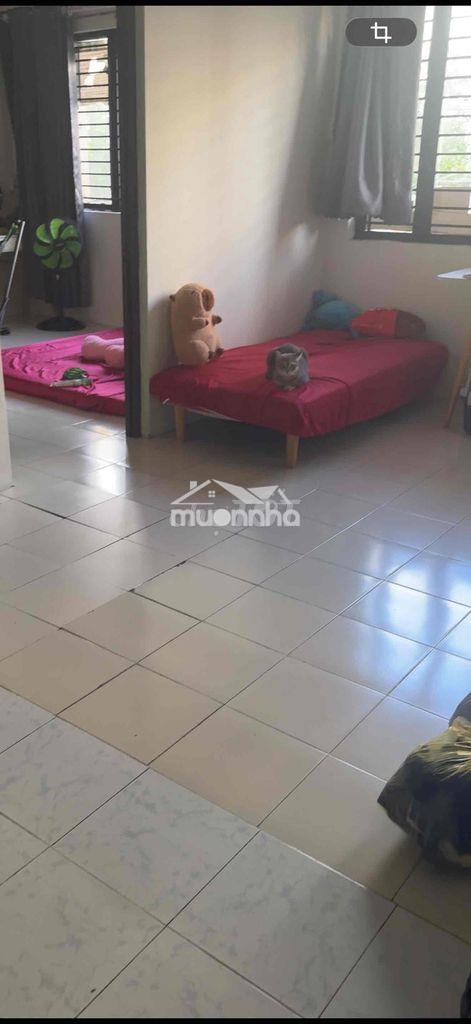 Bán cc tây thạnh lầu 2 dt 58m giá 2.5ty - Ảnh 3