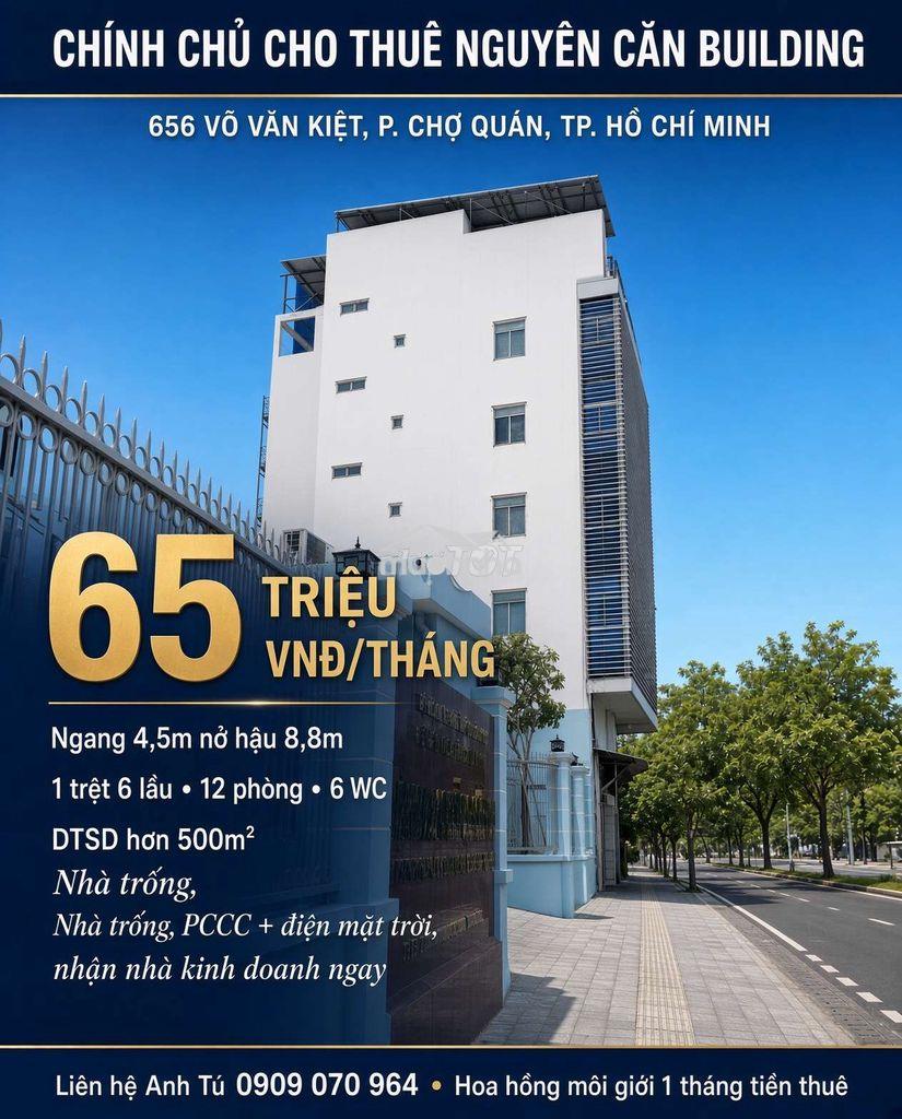 Cho thuê tòa nhà 656 võ văn kiệt - Ảnh 2