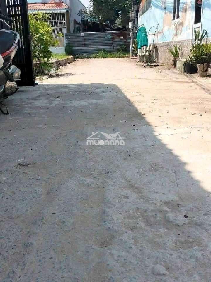 Trịnh thị miếng .  - Ảnh 3